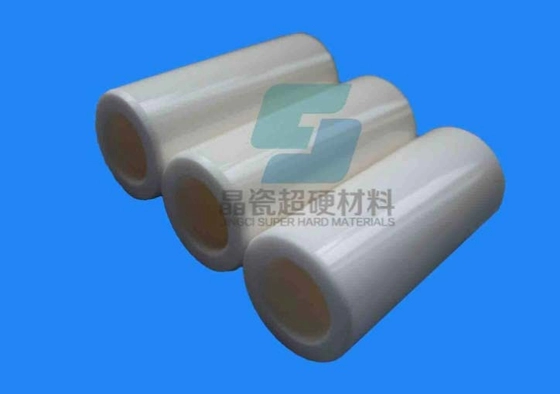 pc31142341-inferior_pump_alumina_al2o3_99_ceramic_piston.webp